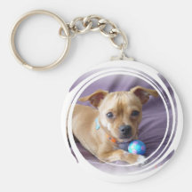 Produtos da chihuahua chaveiro
