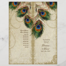 Programa de harmonização elegante do pavão & do ca panfleto coloridos