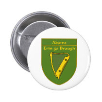 Protetor da bandeira de Adams 1798 broches