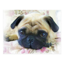 Pug Cartoes Postais