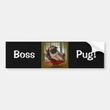 Pug do chefe! adesivos