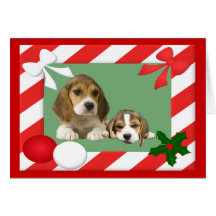 Quadro de cartão do Natal do lebreiro