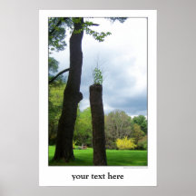 Quadro vertical branco do poster