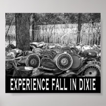 Queda da experiência em Dixie Posteres