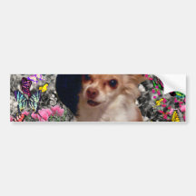 Qui nas borboletas - filhote de cachorro do qui da adesivos