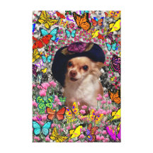 Qui nas borboletas - filhote de cachorro do qui da impressão de canvas envolvidas