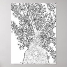 Ramos altos posters