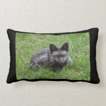 RAPOSA TRAVESSEIROS DE DECORAÇÃO