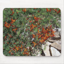 Rastrero Mousepad