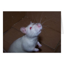 Rato do dia das mães cartoes