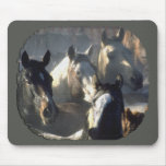 Rebanho do cavalo mouse pad