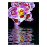 Reflexão da orquídea cartões