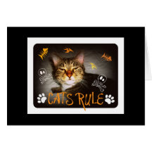 Regra Notecard dos gatos Cartao