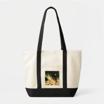 Rejuvenate bolsas