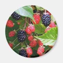 Remendo de Blackberry Imã