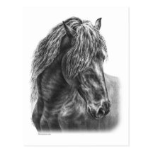 Retrato da juba da cabeça de cavalo w/Flowing do f Cartoes Postais