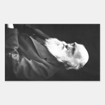 Retrato de Charles Darwin Adesivos Retangulares