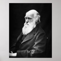 Retrato de Charles Darwin Impressão
