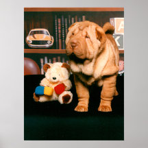 Retrato do filhote de cachorro de Shar-pei do chin Posteres