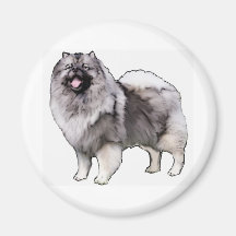 retrato do keeshond imã