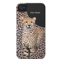 Retrato e pele da chita - personalize capas casemate