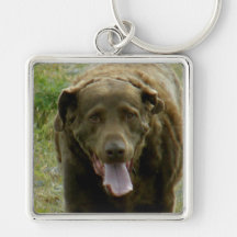 Retriever de baía de Chesapeake Chaveiro