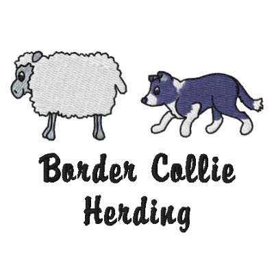 Reunião de BW border collie