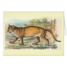 Richard Lydekker - puma Cartão