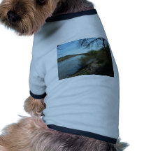 rio azul camiseta para caes