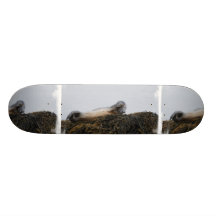 Riscando o skate do selo
