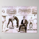 Rober e guindaste Bros Poster