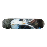 Rodas do trem skates