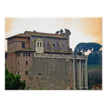 Roma Fotografias