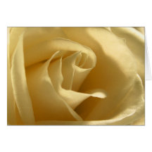 Rosa amarelo cartoes