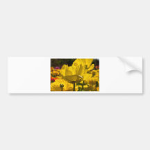 Rosa amarelo retroiluminado adesivo