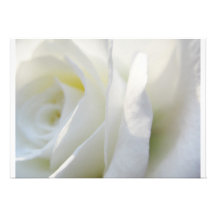 Rosa branco convites personalizados