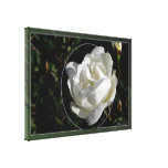 Rosa branco impressão de canvas esticadas