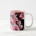 Rosa Caneca