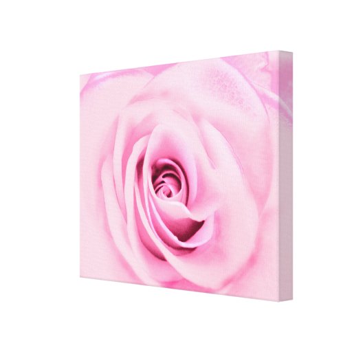 Rosa cor-de-rosa do Pastel Impressão De Canvas Envolvidas