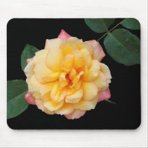 Rosa de chá híbrido mouse pad
