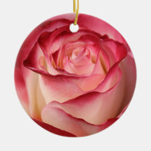 Rosa de chá híbrido ornamento para arvores de natal