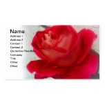 Rosa do courage_ cartoes de visitas