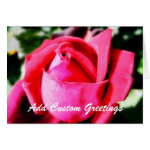 Rosa do rosa com o cartão feito sob encomenda do t