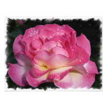 Rosa do rosa convites