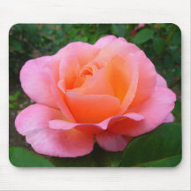 Rosa do rosa mousepad