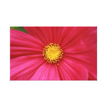 rosa e amarelo impressão em tela canvas