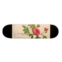Rosa Inermis, Pierre Joseph Redouté Skates