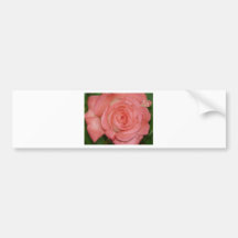 rosa romântico do rosa adesivos