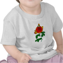 Rosa rose tshirts