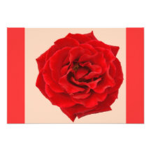 ROSA VERMELHA CONVITES PERSONALIZADOS
